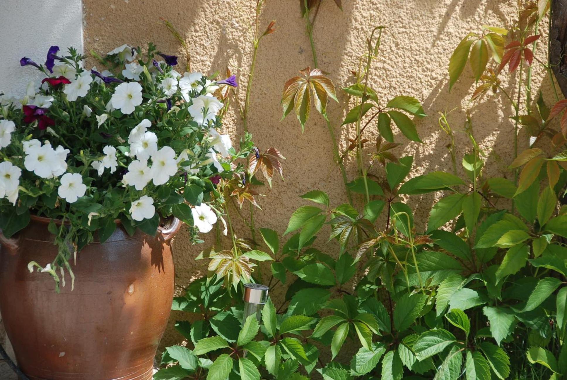 Le Domaine Saint Jean Bed & Breakfast Ngoại thất bức ảnh